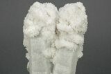 Milky, Candle Quartz Crystal Cluster - Inner Mongolia #226279-1